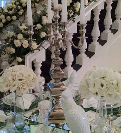 festa, special occasions and wedding dress