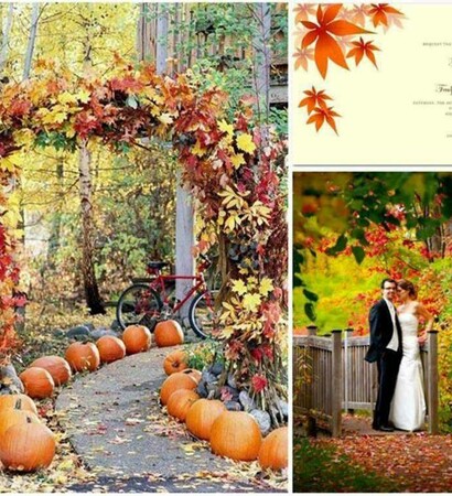 fall, ideas and maple leaves