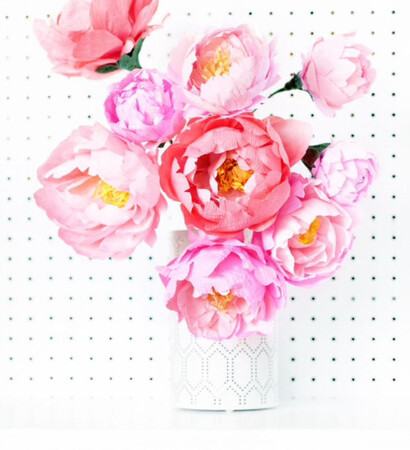 peonies, pink and art