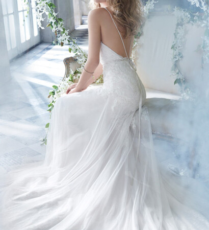 applique, photography and wedding gown