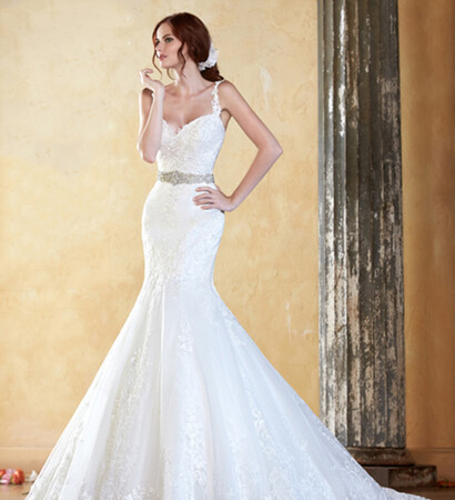 wedding dress, applique and wedding gown