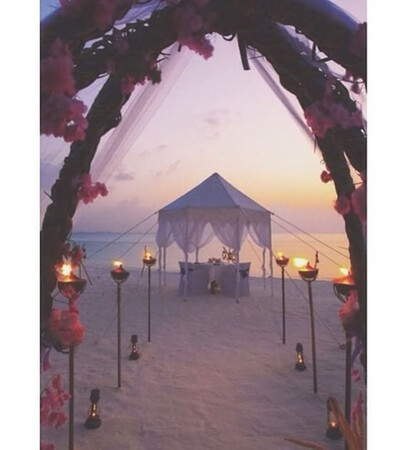 lovely, summer and Dream