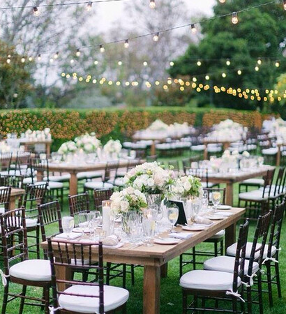 reception, wedding reception and garden wedding
