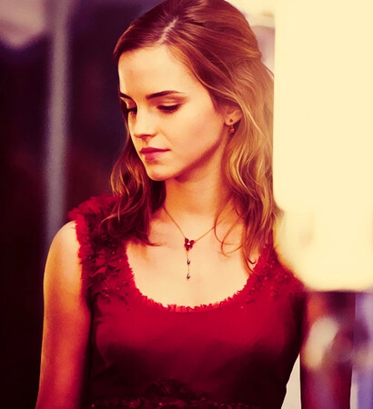 harry potter, bill & fleur and dress