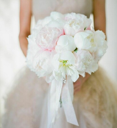 peonies, beautiful and bouquet