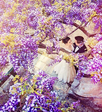 marriage, happiness and love