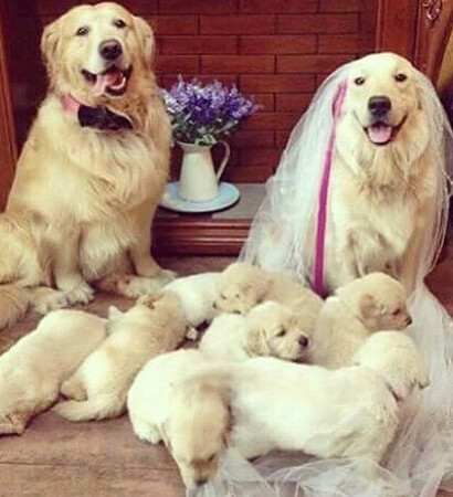love, aww and beautiful
