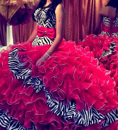 zebra print, fashion and sandra celli