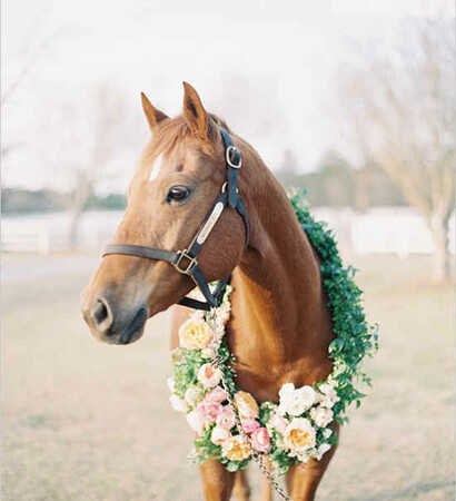 flowers, diy and horse