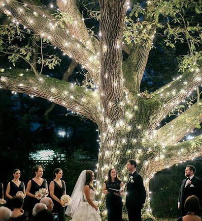 lights, wish and night