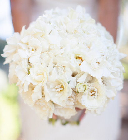 bridal, magnolia and flower