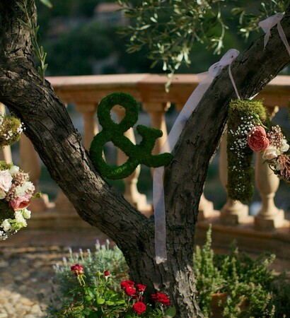 decoration, photography and photo