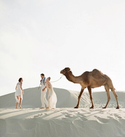 white, marriage and desert
