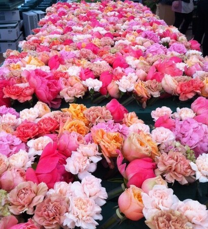 flowerwall, sverige and blommor