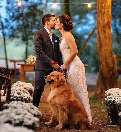 dog, bride and clay
