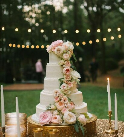 scenery, white and roses