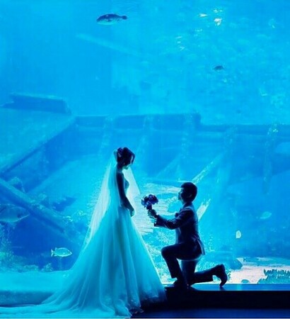 love, water and happy