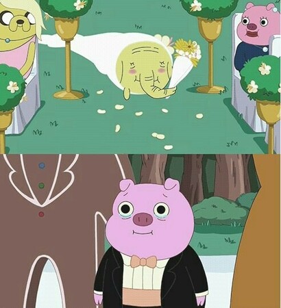 marriage, adventure time and love