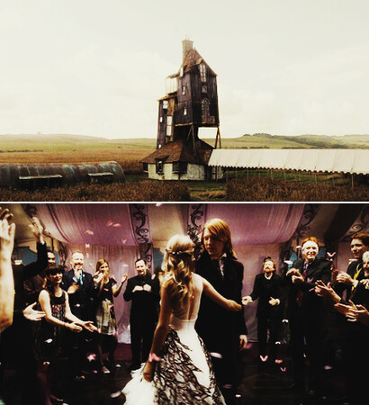 fleur&bill, weasleys and harry potter