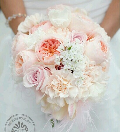flowers, flores and quinceanera