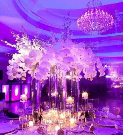 luxury, day and champagne