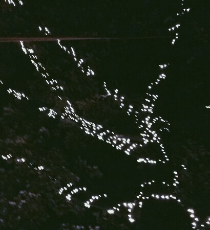 dance, shine and beautiful