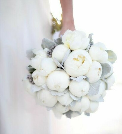 white, white flowers and perfect