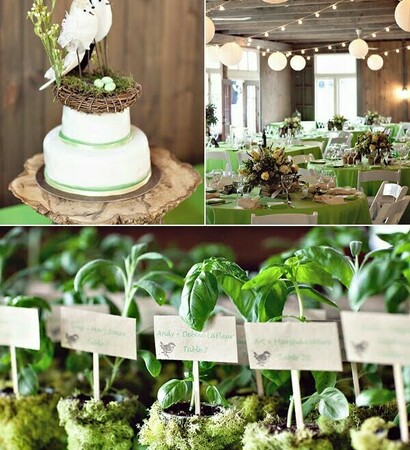 cake, lanterns and nature