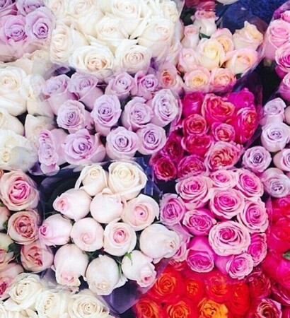 bouquet, rose and love