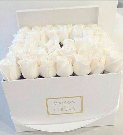 cute, rose and lovely