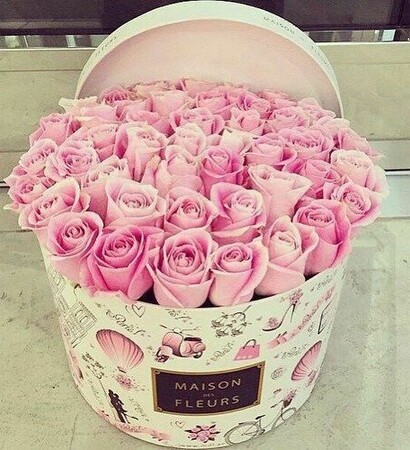 rose, lovely and love