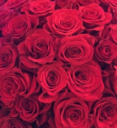 nature, roses and we heart it
