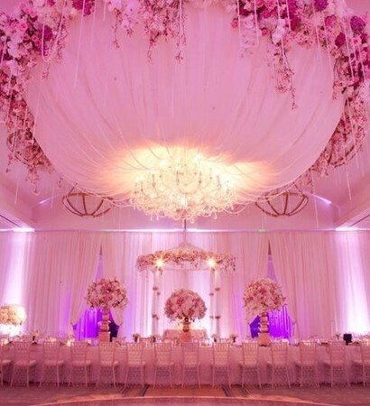 classy, luxurious and amazing