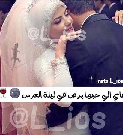 تّحَشَيّشَ, نٌكت and عرس