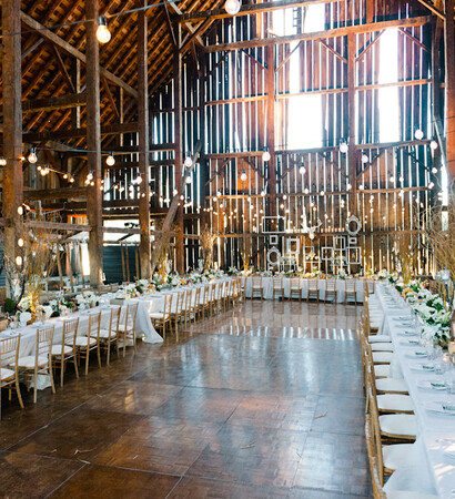 reception, decorations and venue