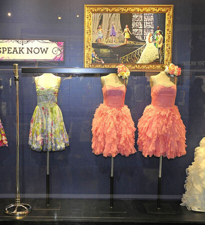 speaknowtour, flowers and speak now