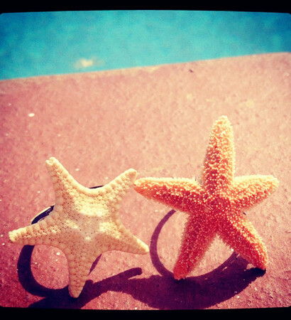 beautiful, diamond and starfish