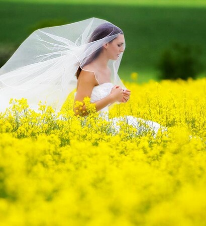 summer, field and landscape