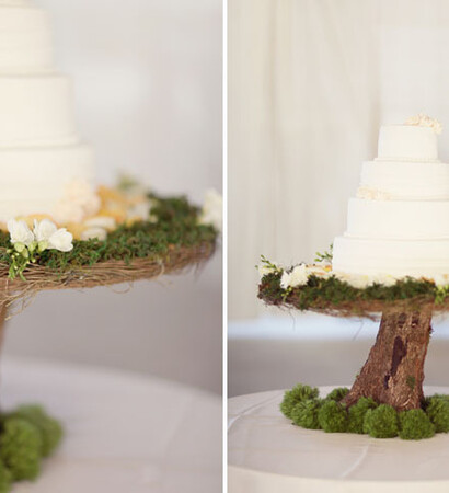 cake, forest and green