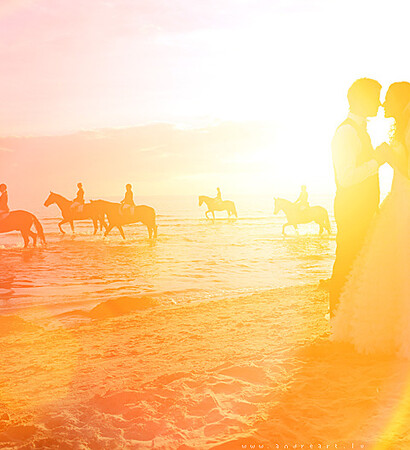 happiness, water and horses
