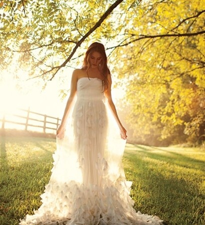 weddings, weddings dress and white