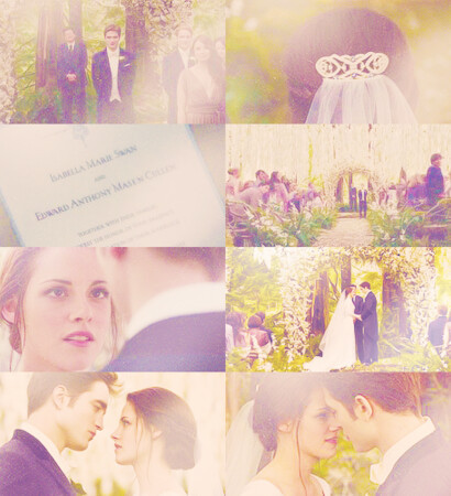 bdpt1, twilight and breaking dawn