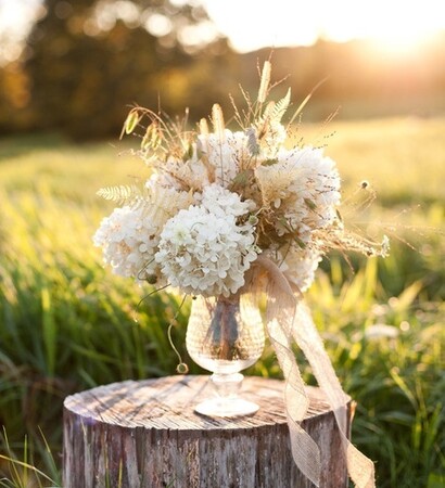 pastel, photography and white