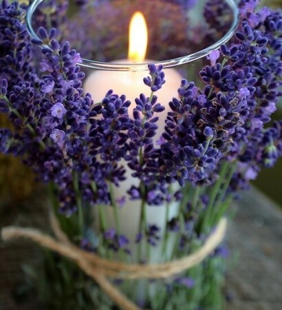 pretty, flowers and lavender