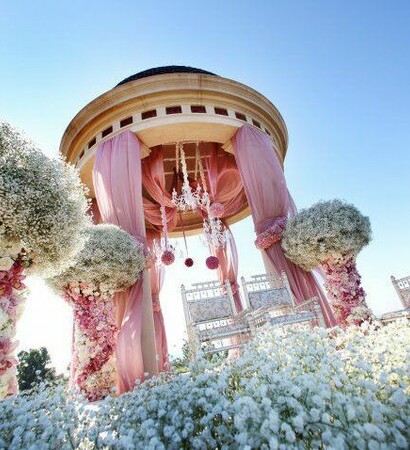 romantic, roses and decor