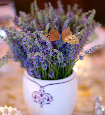 romance, lavendar and flower
