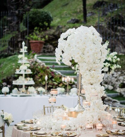 garden, table and camdel