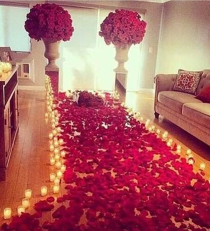 life, red roses and live