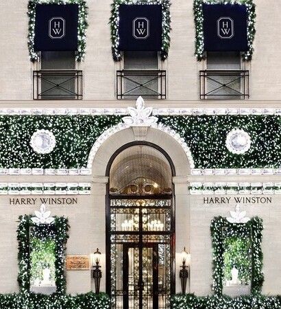 harry winston, proposal and white dress