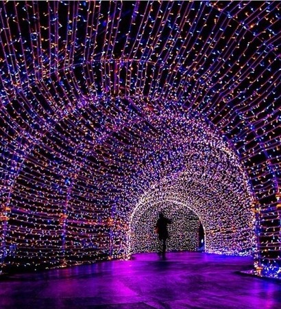 led, winter and christmas